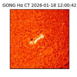 gong - 2026-01-18T12:00:42