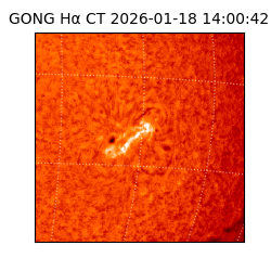 gong - 2026-01-18T14:00:42