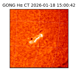 gong - 2026-01-18T15:00:42