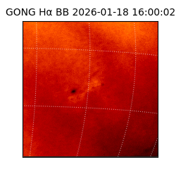 gong - 2026-01-18T16:00:02