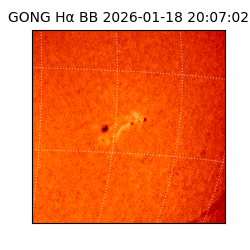 gong - 2026-01-18T20:07:02