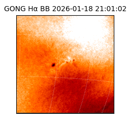 gong - 2026-01-18T21:01:02
