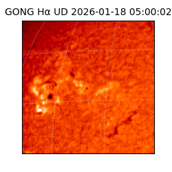gong - 2026-01-18T05:00:02