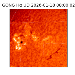 gong - 2026-01-18T08:00:02