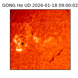 gong - 2026-01-18T09:00:02
