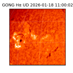 gong - 2026-01-18T11:00:02
