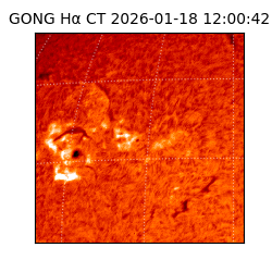 gong - 2026-01-18T12:00:42