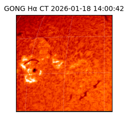 gong - 2026-01-18T14:00:42