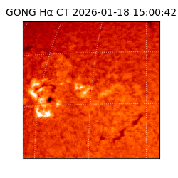 gong - 2026-01-18T15:00:42
