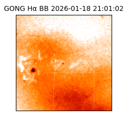gong - 2026-01-18T21:01:02