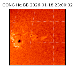 gong - 2026-01-18T23:00:02