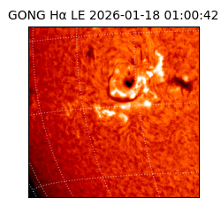 gong - 2026-01-18T01:00:42