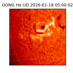gong - 2026-01-18T05:00:02