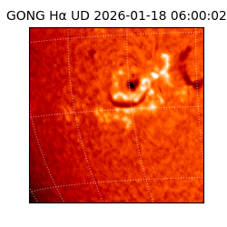 gong - 2026-01-18T06:00:02