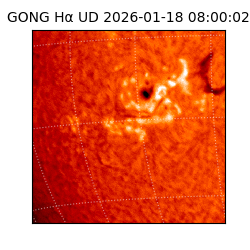 gong - 2026-01-18T08:00:02