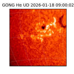 gong - 2026-01-18T09:00:02