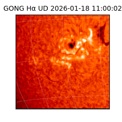 gong - 2026-01-18T11:00:02