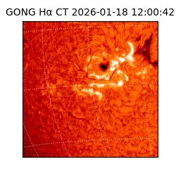 gong - 2026-01-18T12:00:42