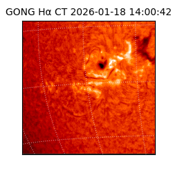 gong - 2026-01-18T14:00:42