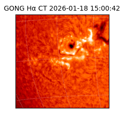 gong - 2026-01-18T15:00:42