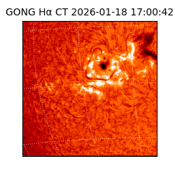 gong - 2026-01-18T17:00:42