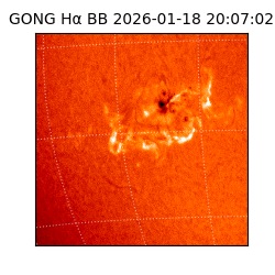 gong - 2026-01-18T20:07:02