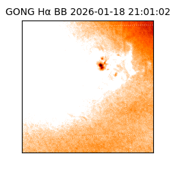 gong - 2026-01-18T21:01:02