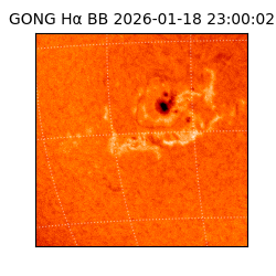 gong - 2026-01-18T23:00:02