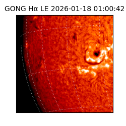 gong - 2026-01-18T01:00:42