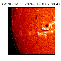 gong - 2026-01-18T02:00:42