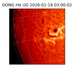 gong - 2026-01-18T03:00:02