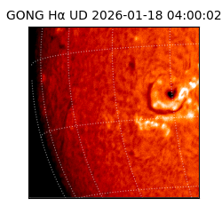 gong - 2026-01-18T04:00:02