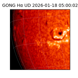 gong - 2026-01-18T05:00:02