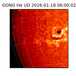 gong - 2026-01-18T06:00:02