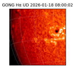 gong - 2026-01-18T08:00:02