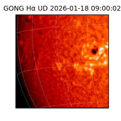 gong - 2026-01-18T09:00:02