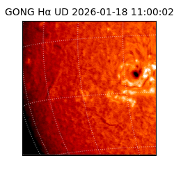 gong - 2026-01-18T11:00:02