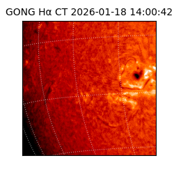 gong - 2026-01-18T14:00:42