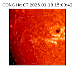 gong - 2026-01-18T15:00:42