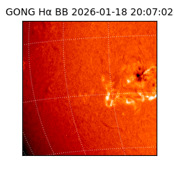gong - 2026-01-18T20:07:02