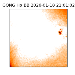 gong - 2026-01-18T21:01:02