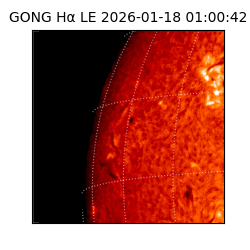 gong - 2026-01-18T01:00:42