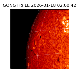 gong - 2026-01-18T02:00:42