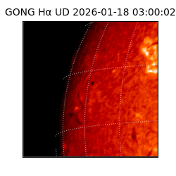 gong - 2026-01-18T03:00:02