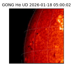 gong - 2026-01-18T05:00:02