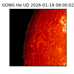 gong - 2026-01-18T08:00:02