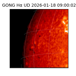 gong - 2026-01-18T09:00:02