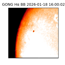 gong - 2026-01-18T16:00:02