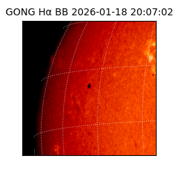 gong - 2026-01-18T20:07:02