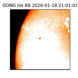 gong - 2026-01-18T21:01:02